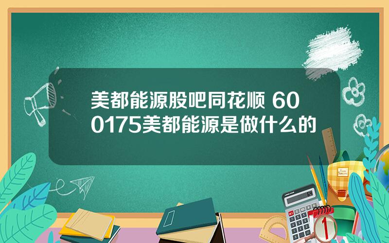 美都能源股吧同花顺 600175美都能源是做什么的